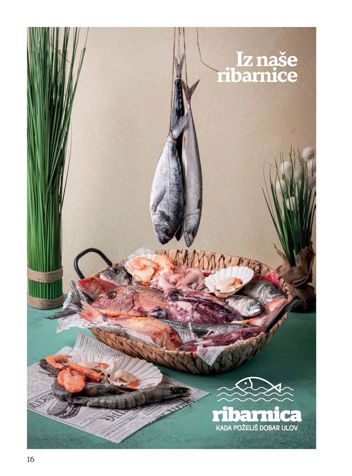 katalog Tropic snizenja